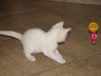 20100206 425.JPG